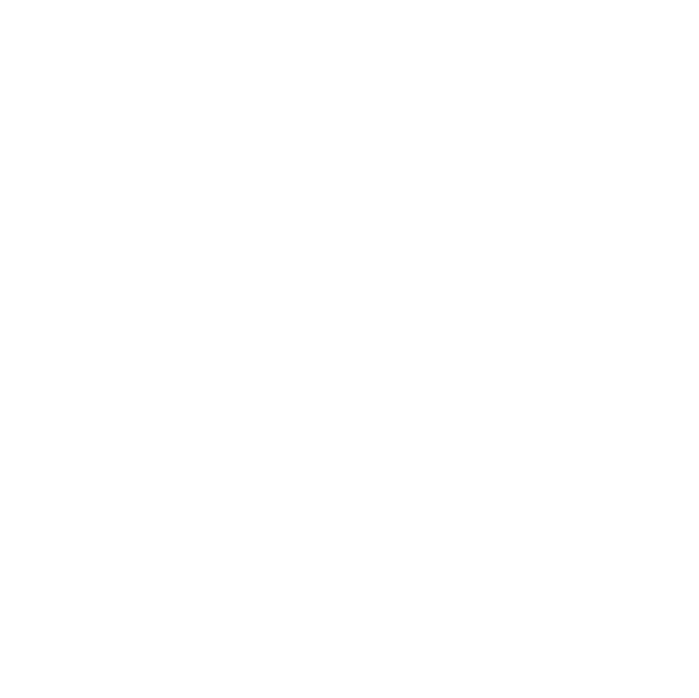 Poort 1893
